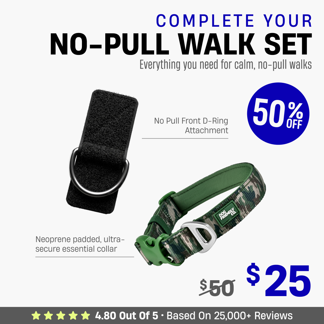 Complete Your No-Pull Walk Set