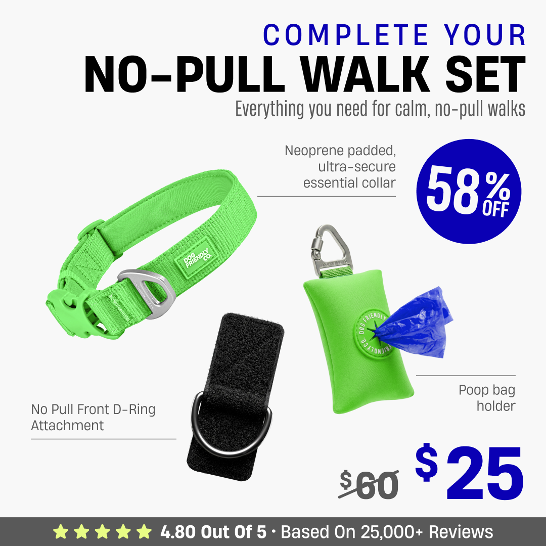 Complete Your No-Pull Walk Set + FREE GIFT