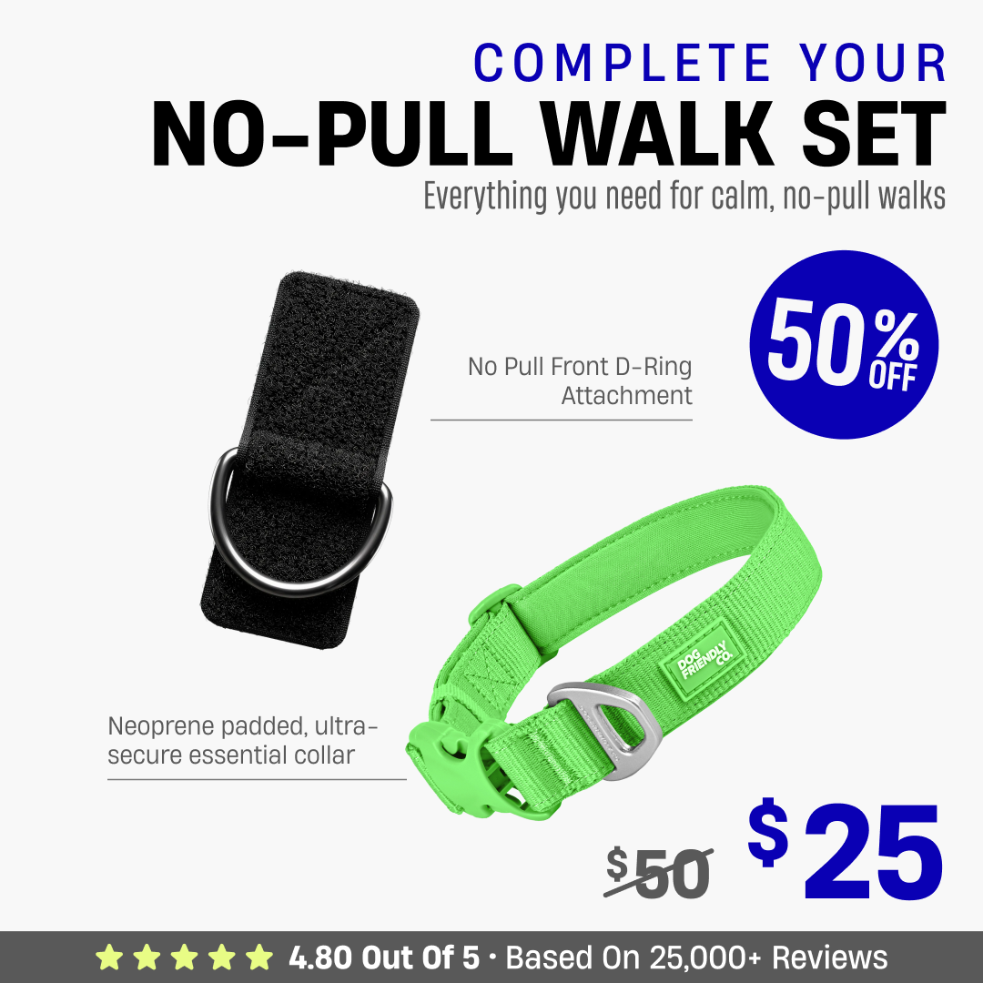 Complete Your No-Pull Walk Set