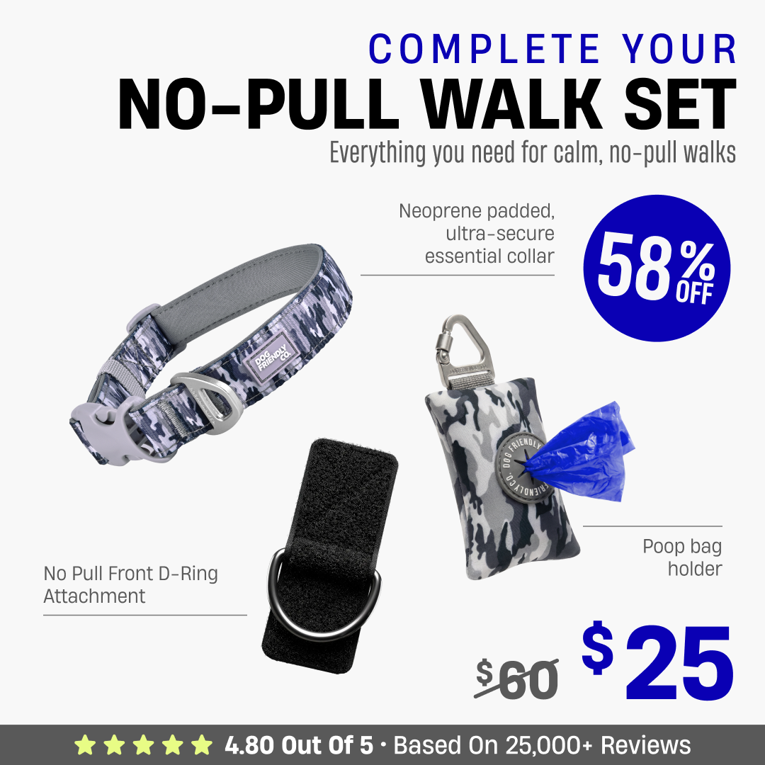 Complete Your No-Pull Walk Set + FREE GIFT