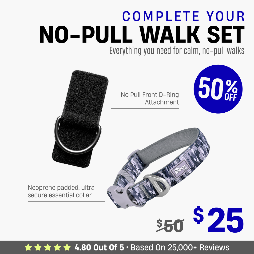 Complete Your No-Pull Walk Set
