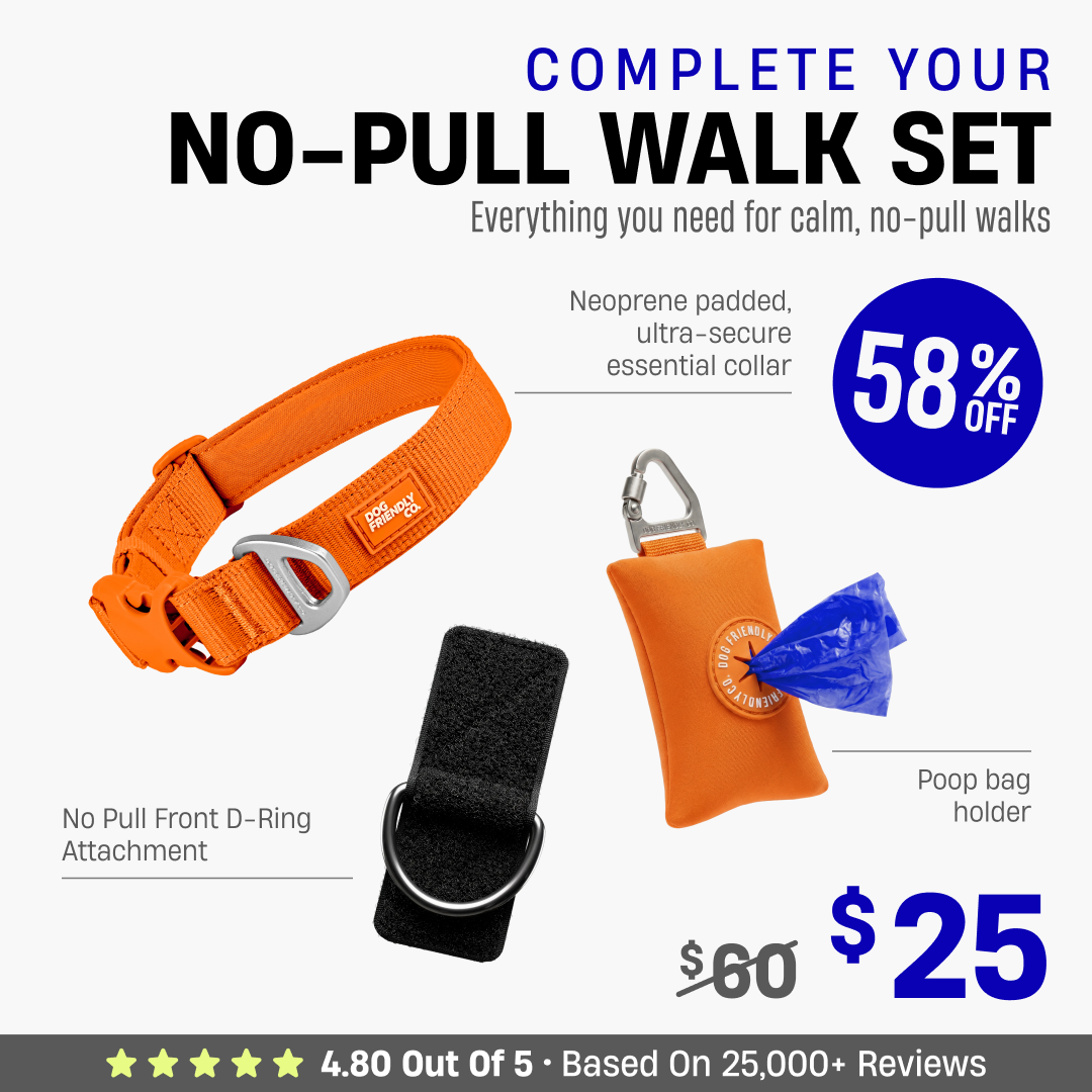 Complete Your No-Pull Walk Set + FREE GIFT