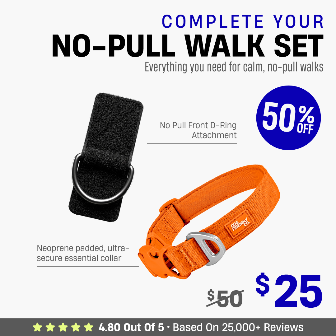 Complete Your No-Pull Walk Set