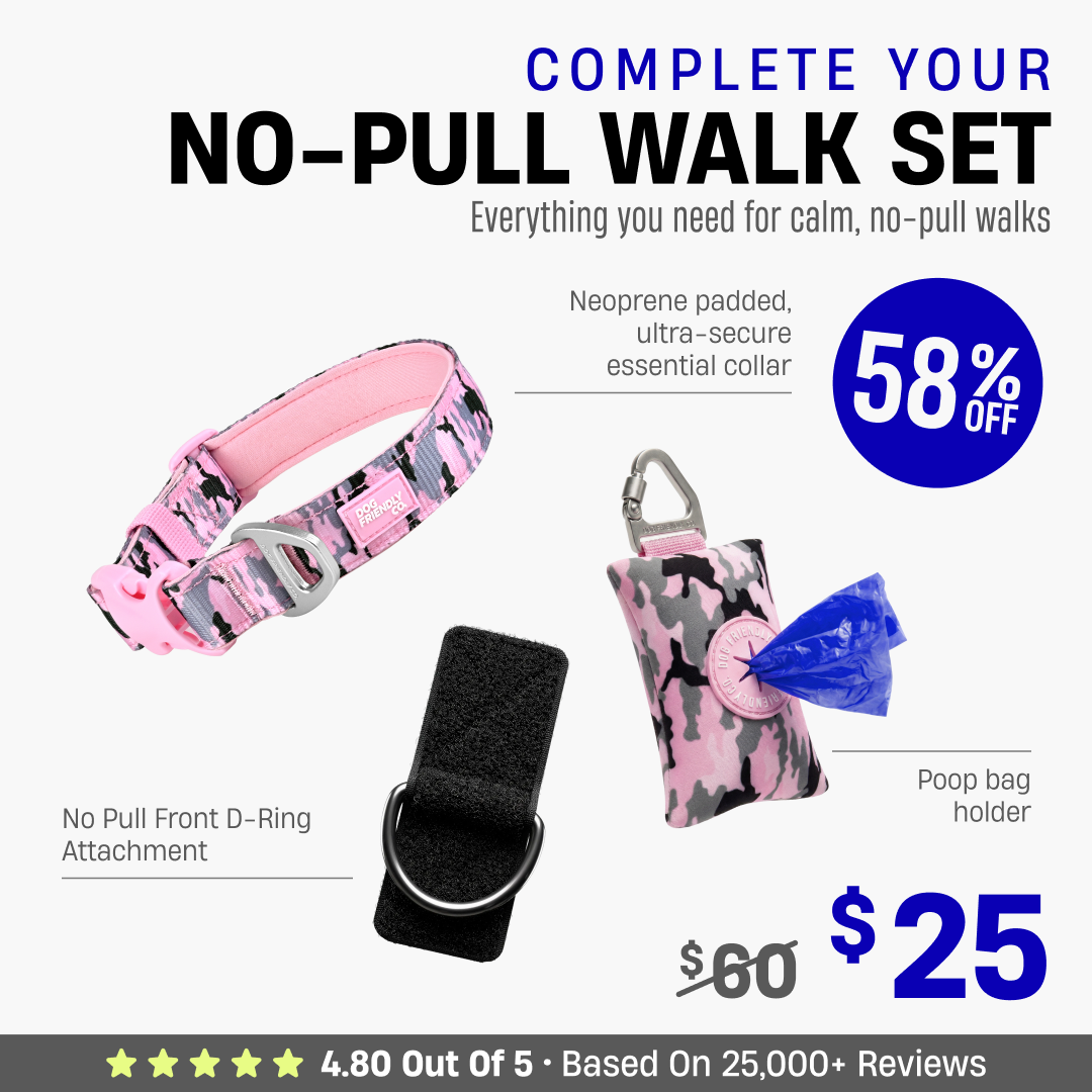 Complete Your No-Pull Walk Set + FREE GIFT