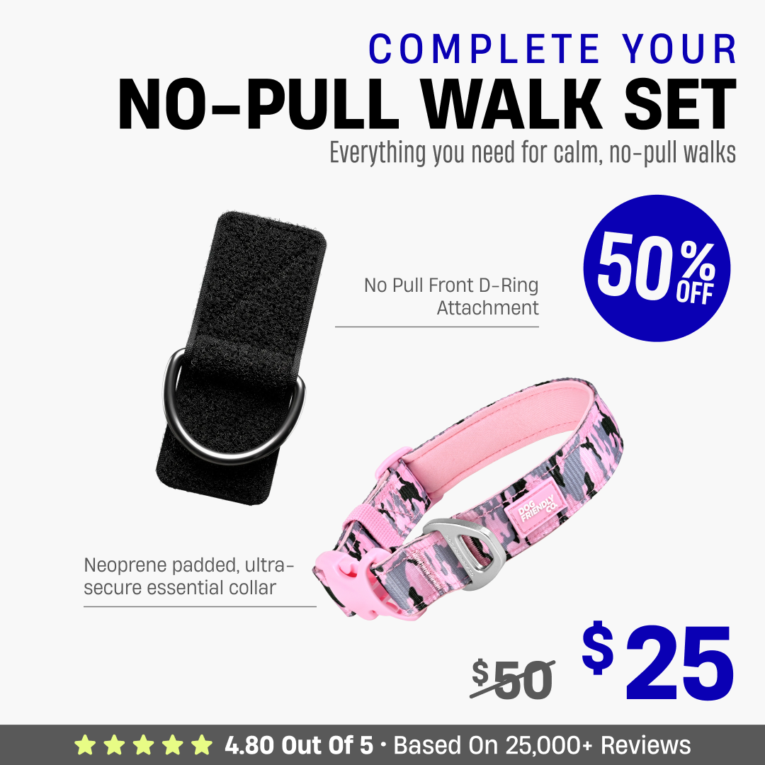 Complete Your No-Pull Walk Set