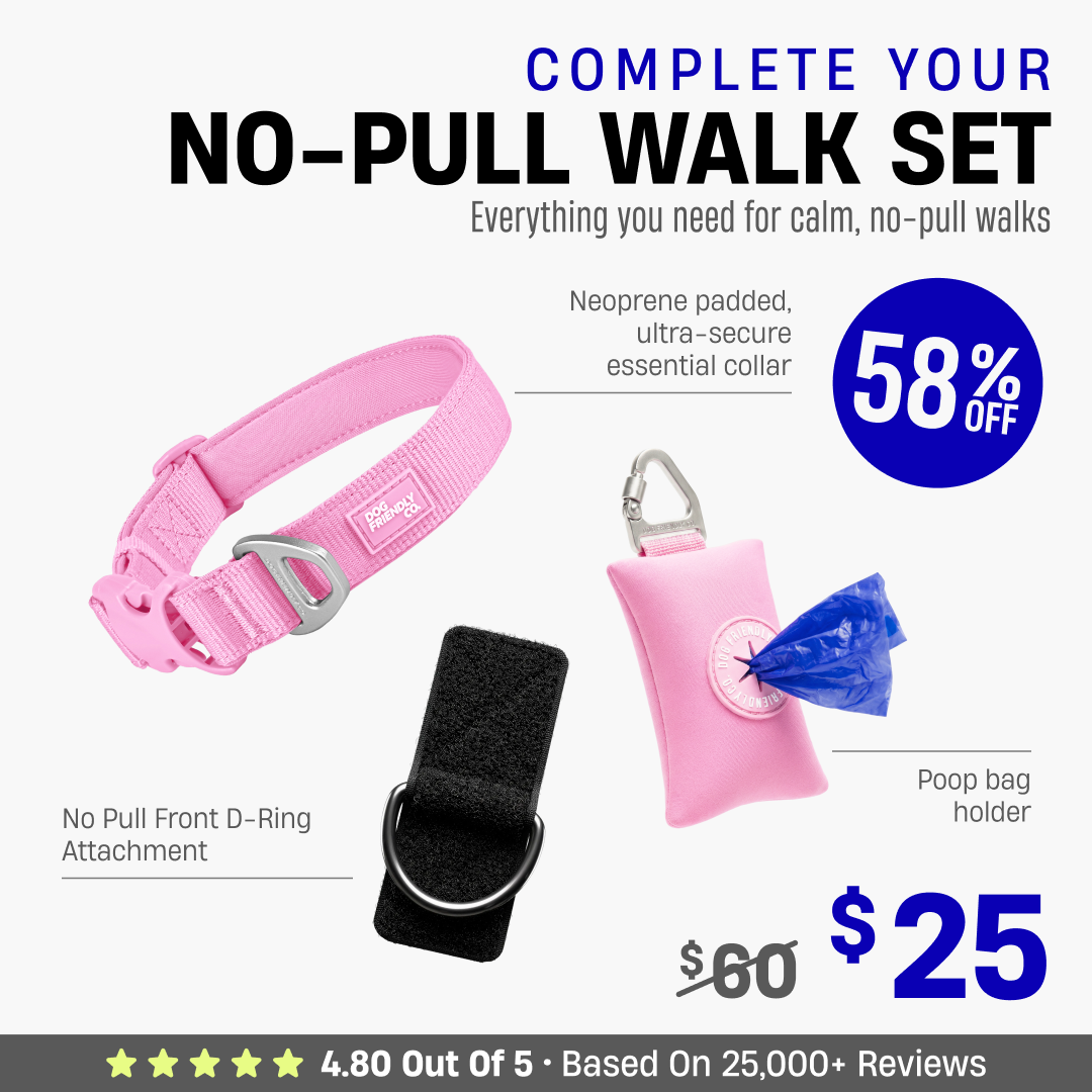 Complete Your No-Pull Walk Set + FREE GIFT