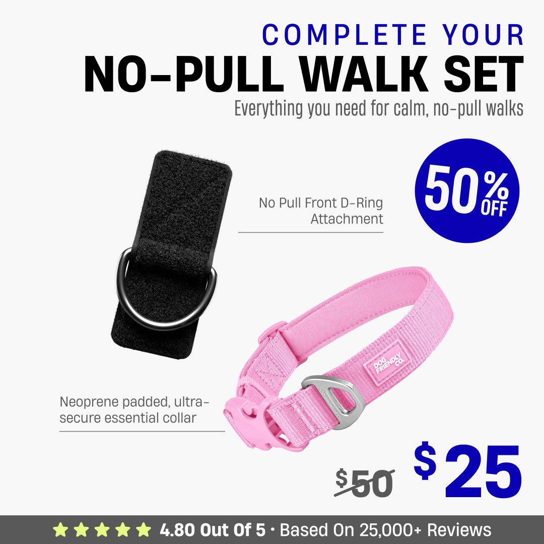Complete Your No-Pull Walk Set