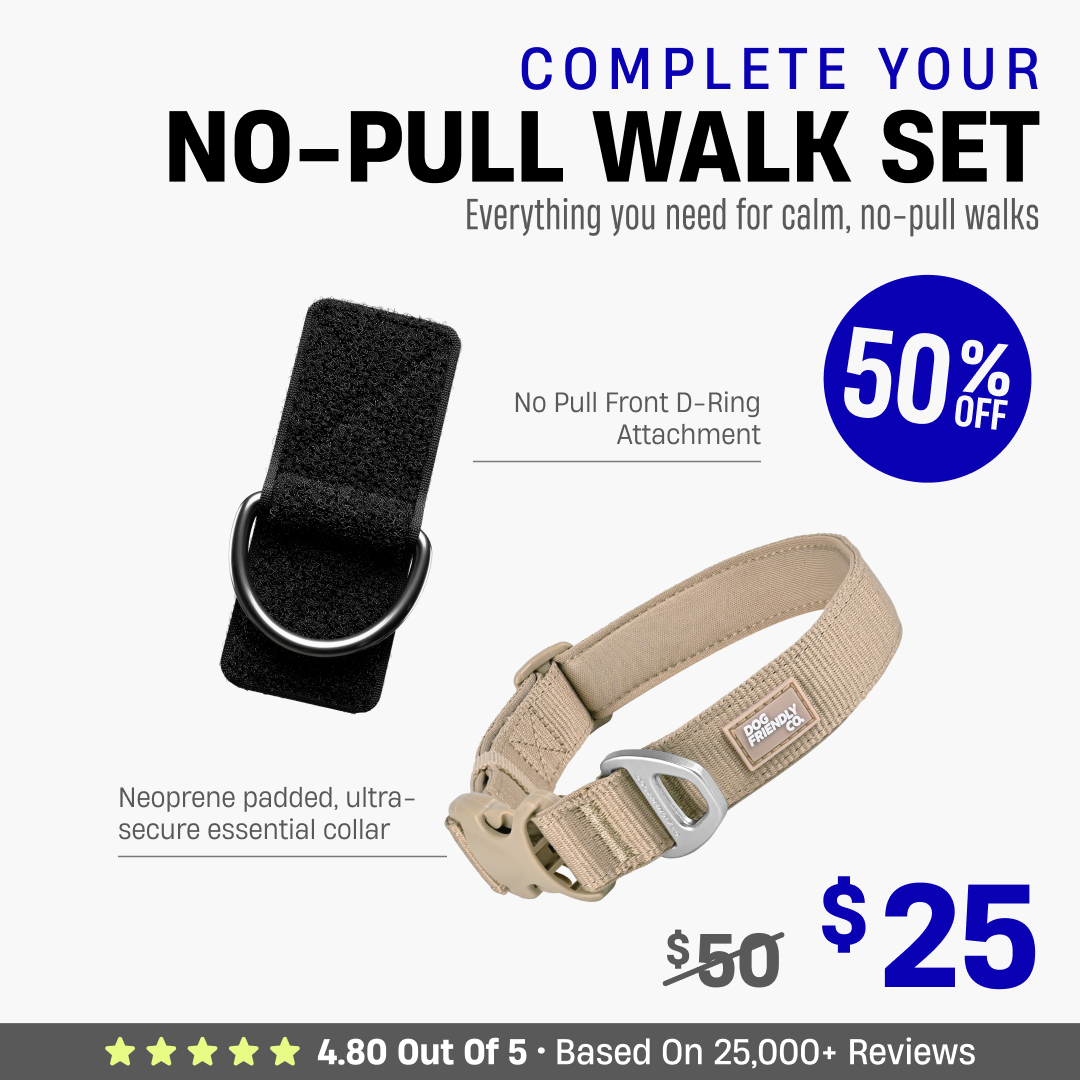 Complete Your No-Pull Walk Set