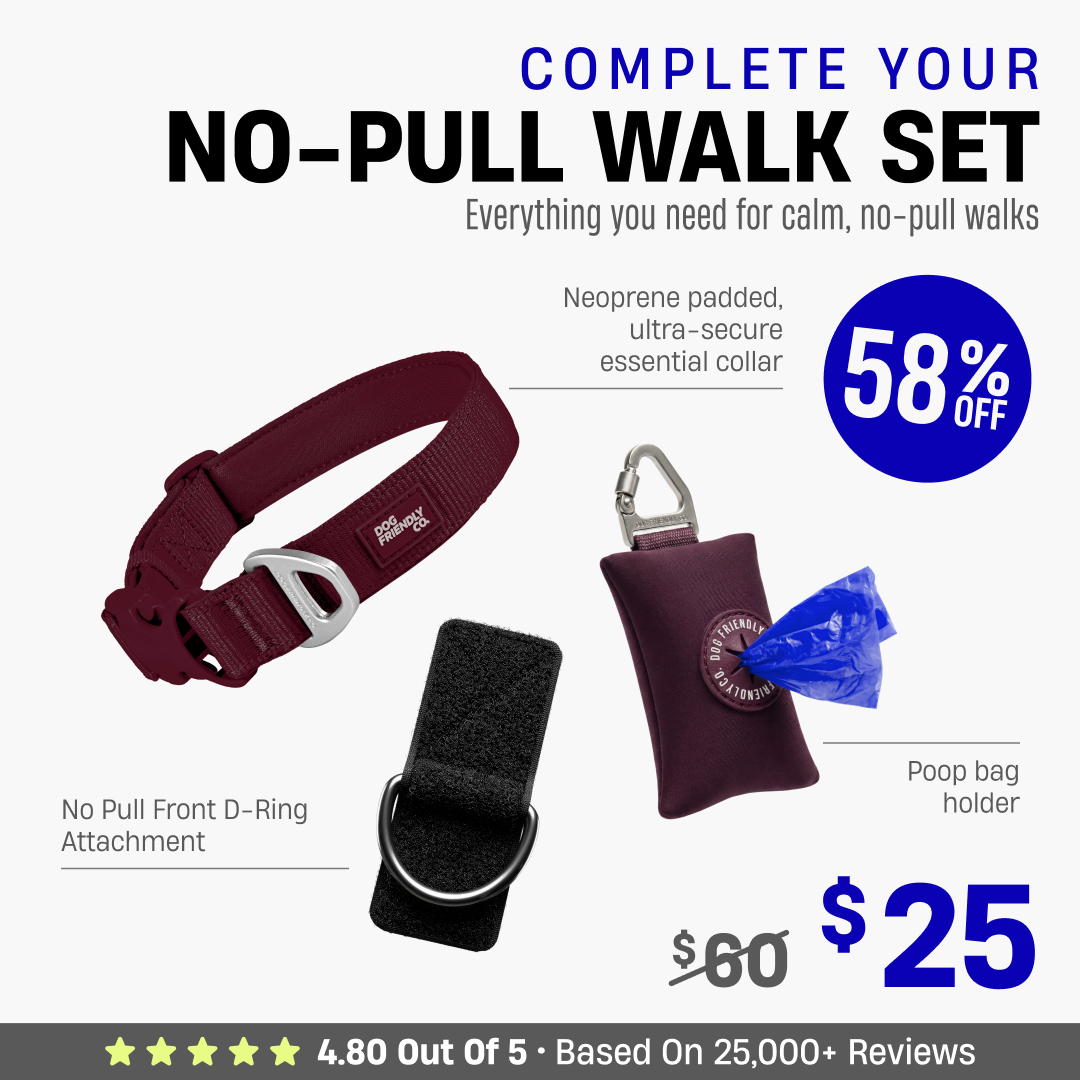 Complete Your No-Pull Walk Set + FREE GIFT