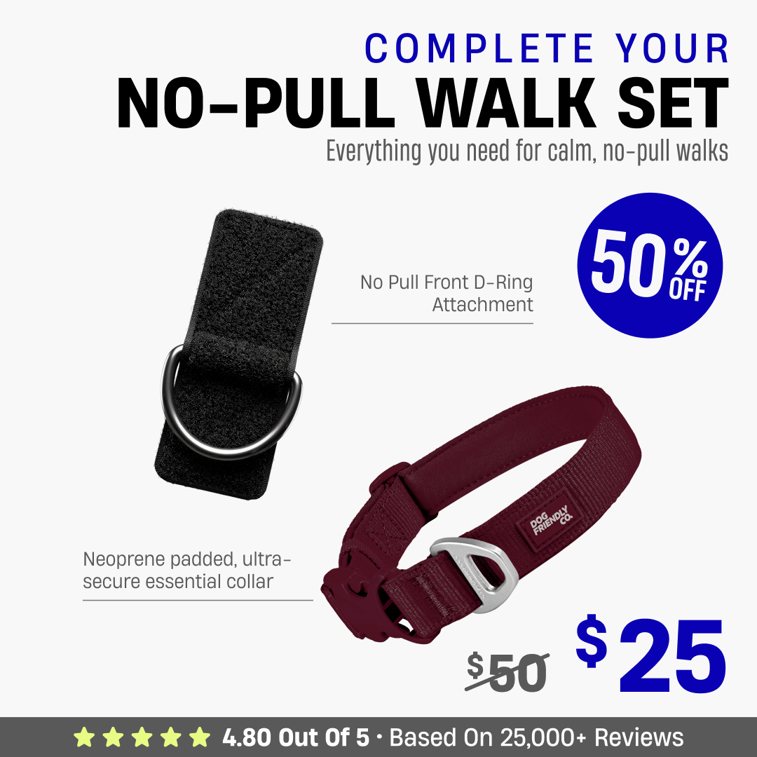 Complete Your No-Pull Walk Set