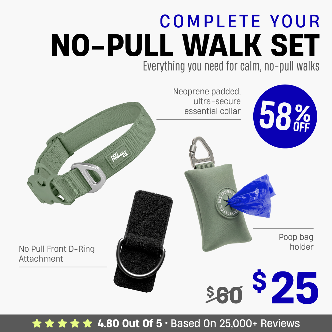 Complete Your No-Pull Walk Set + FREE GIFT