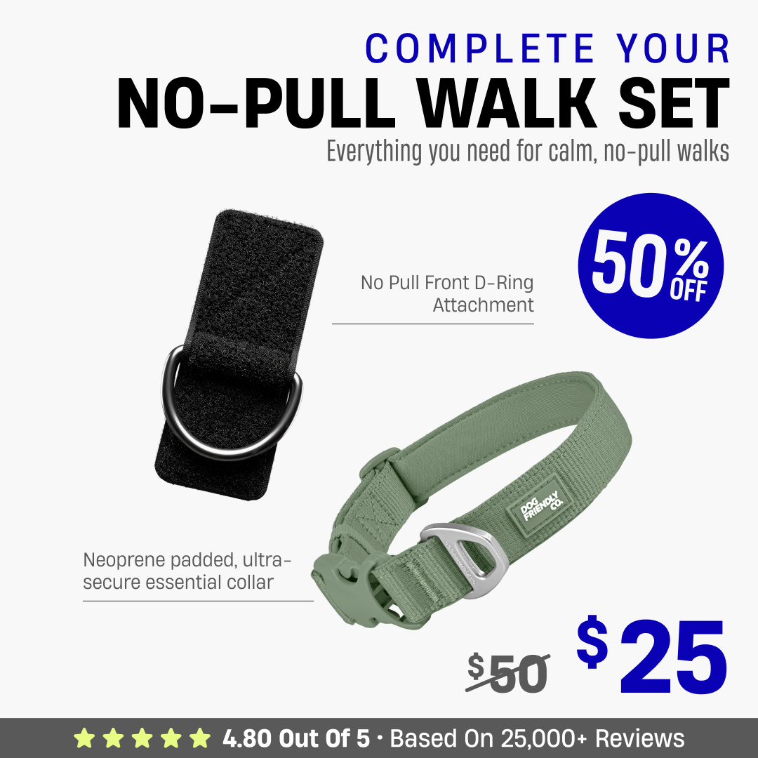 Complete Your No-Pull Walk Set
