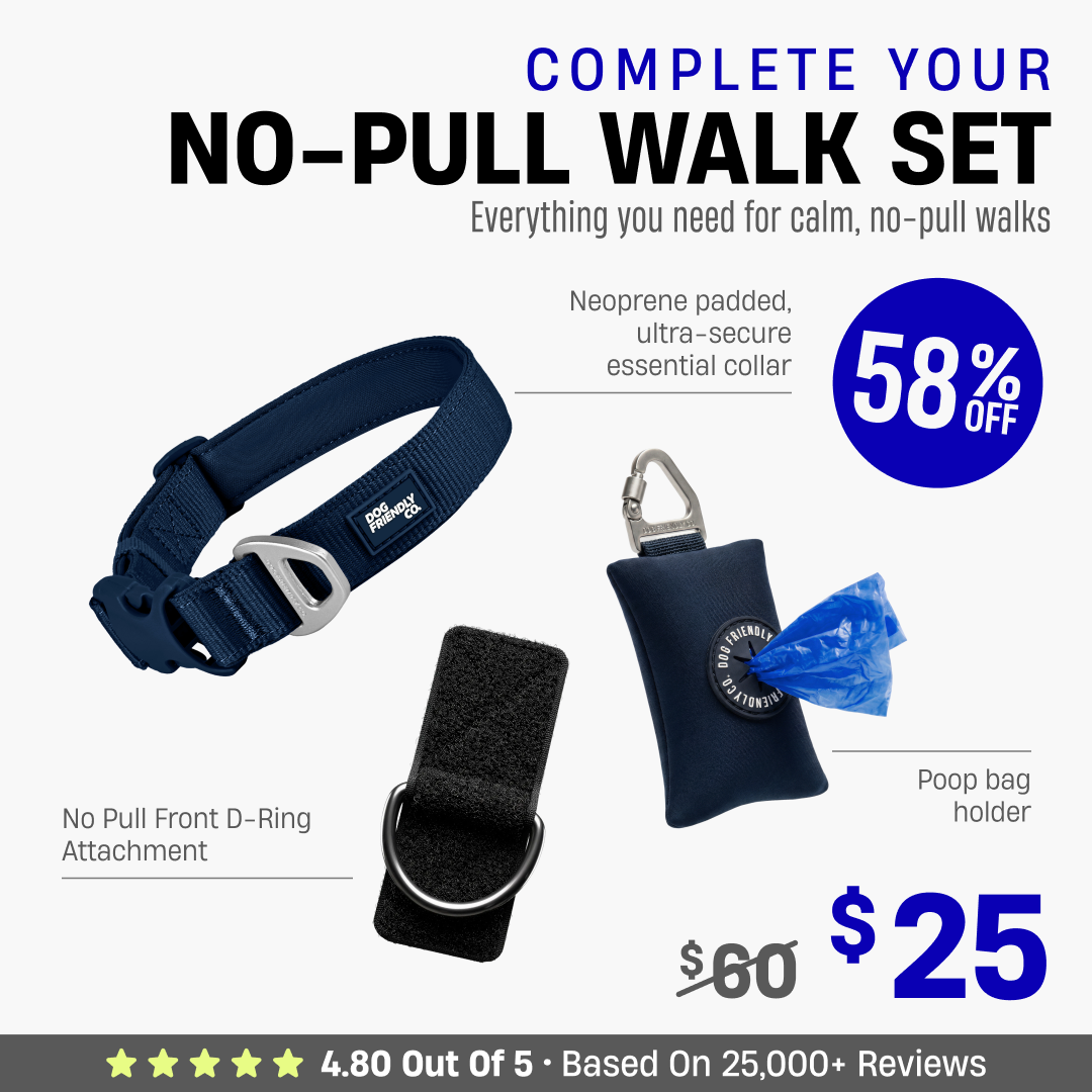 Complete Your No-Pull Walk Set + FREE GIFT