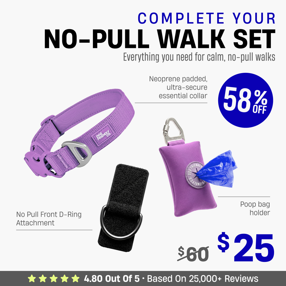 Complete Your No-Pull Walk Set + FREE GIFT