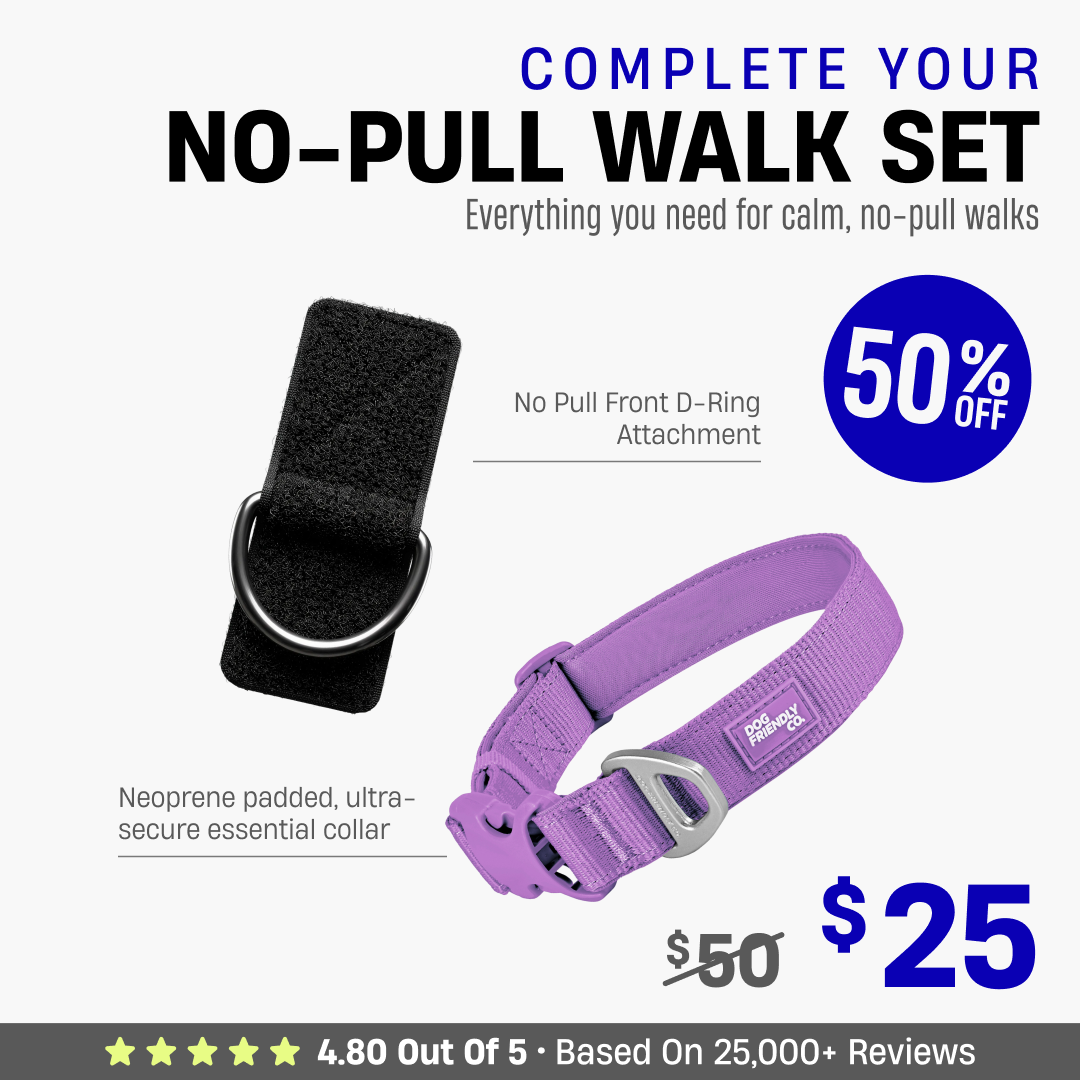 Complete Your No-Pull Walk Set