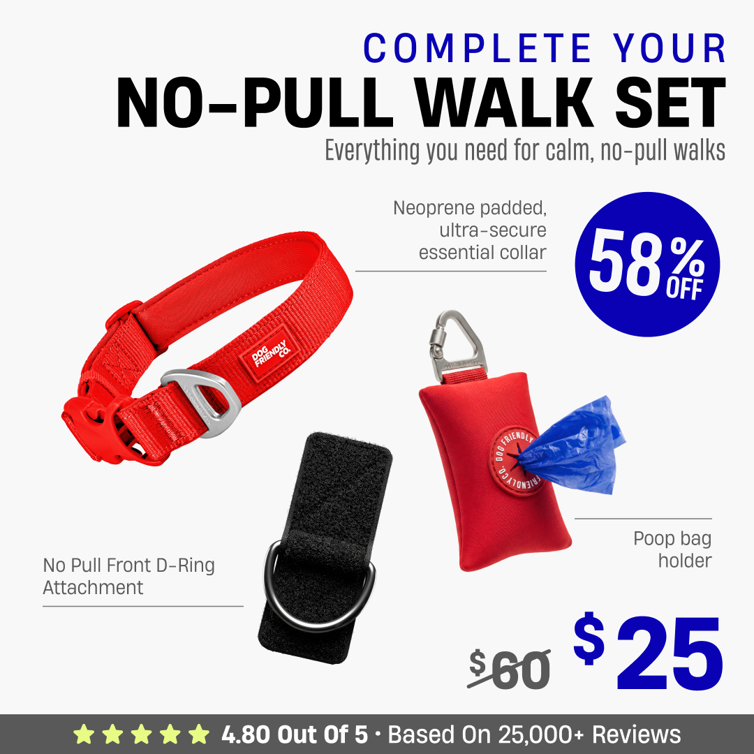 Complete Your No-Pull Walk Set + FREE GIFT
