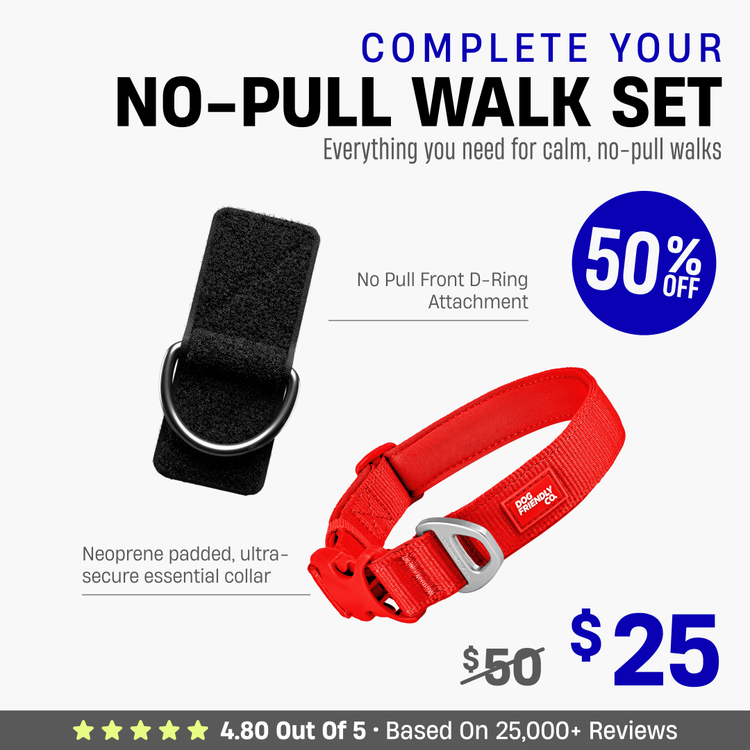 Complete Your No-Pull Walk Set
