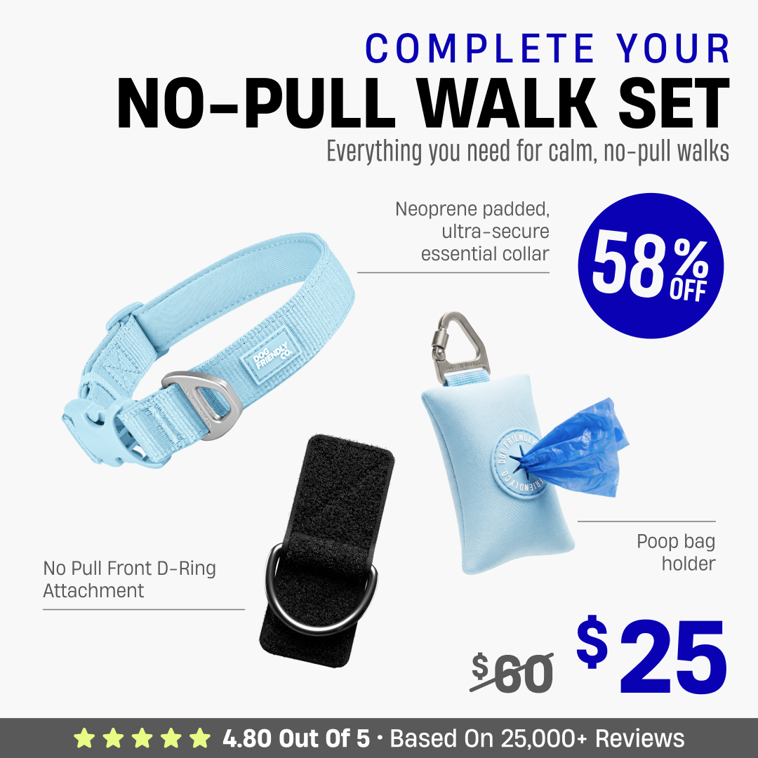Complete Your No-Pull Walk Set + FREE GIFT