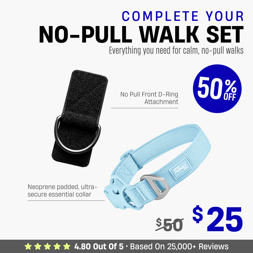 Complete Your No-Pull Walk Set