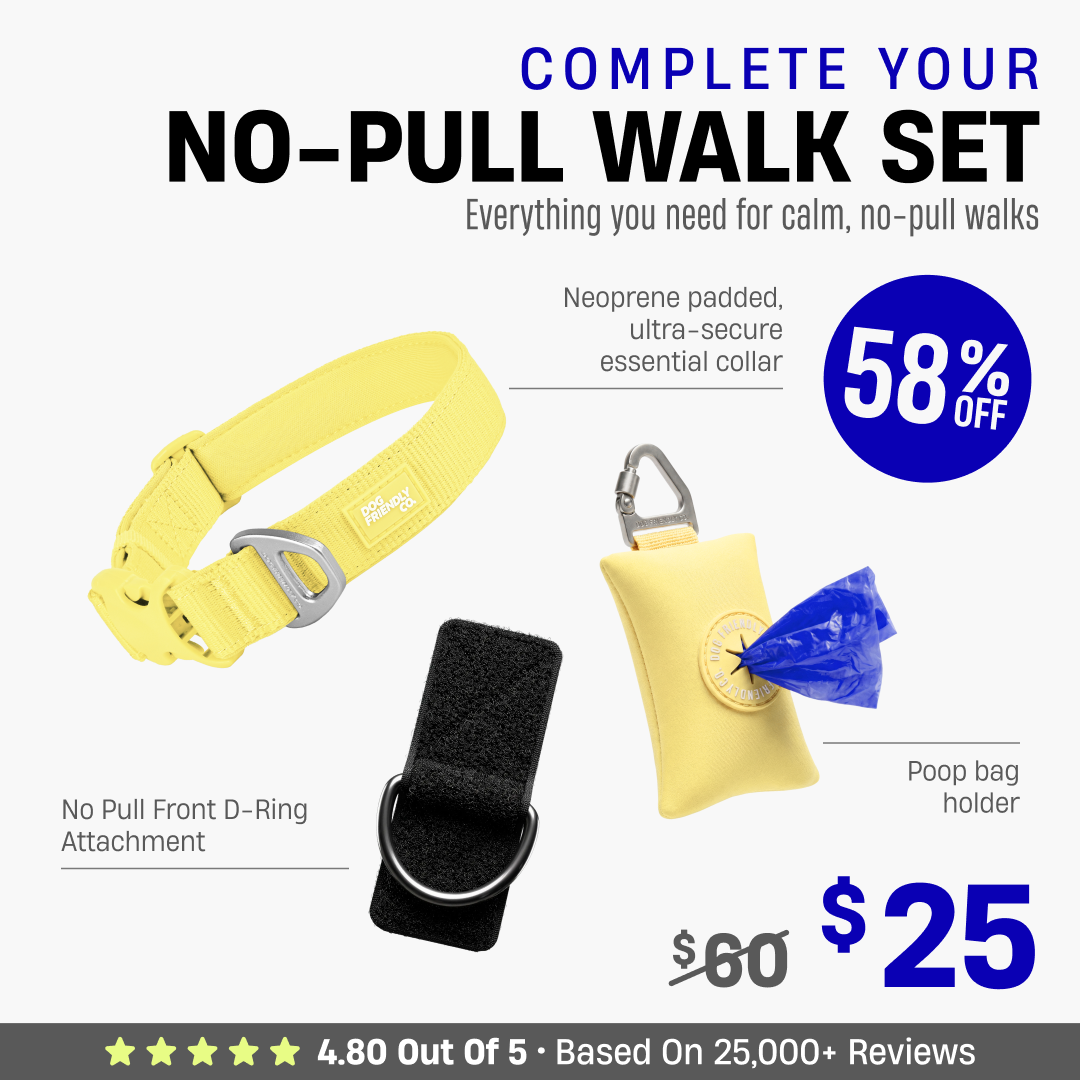 Complete Your No-Pull Walk Set + FREE GIFT