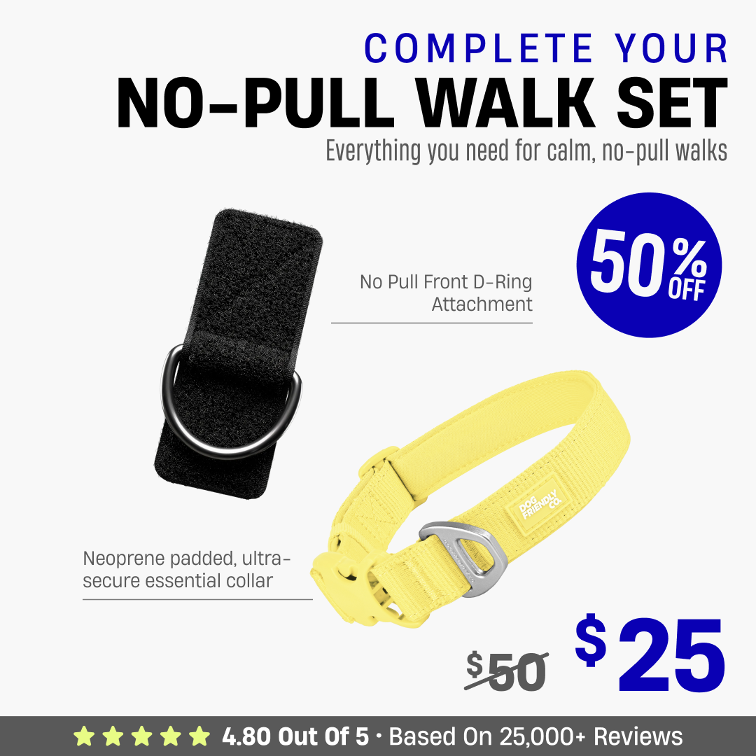 Complete Your No-Pull Walk Set