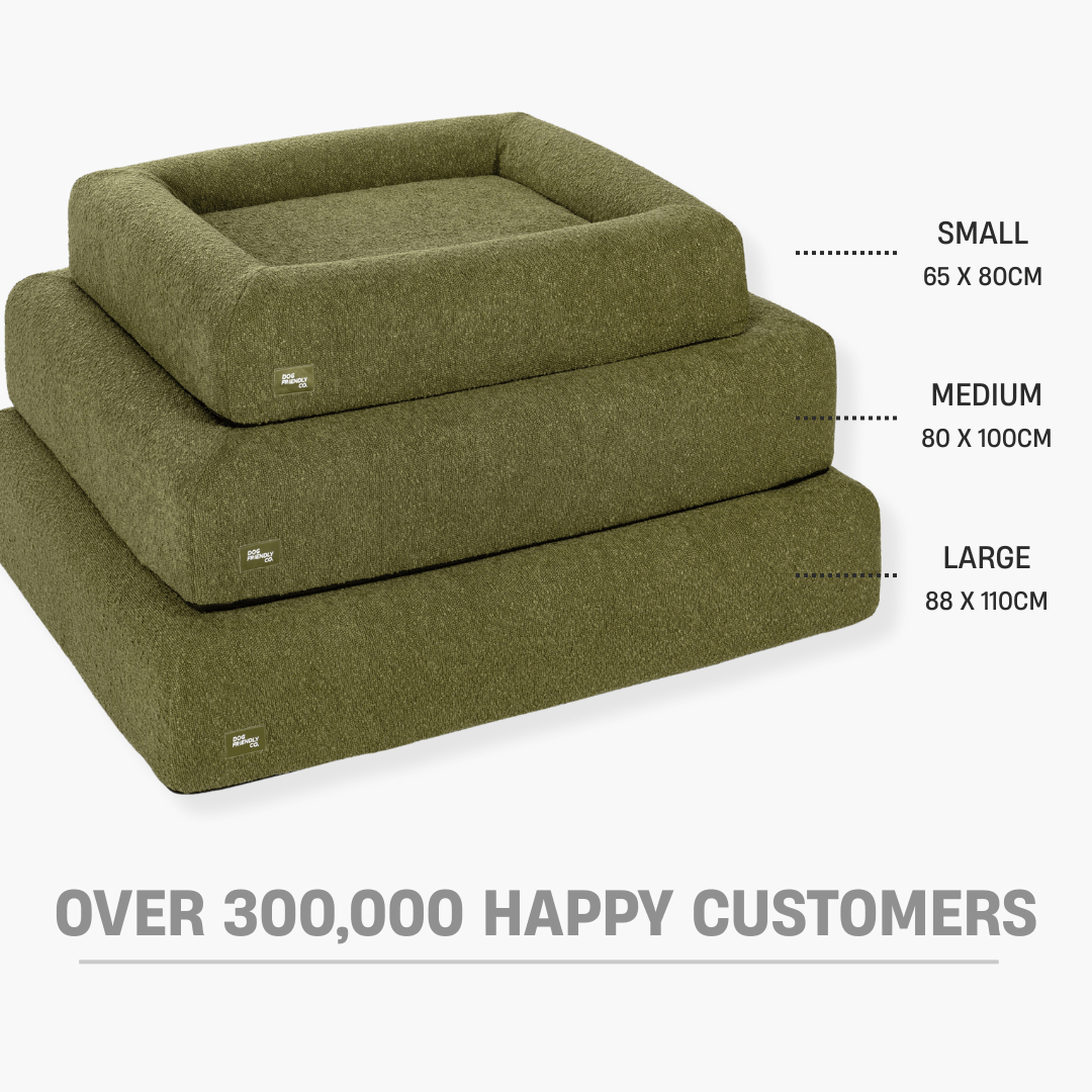 Premium Orthopedic Memory Foam Dog Bed - Green Bouclé (Medium)