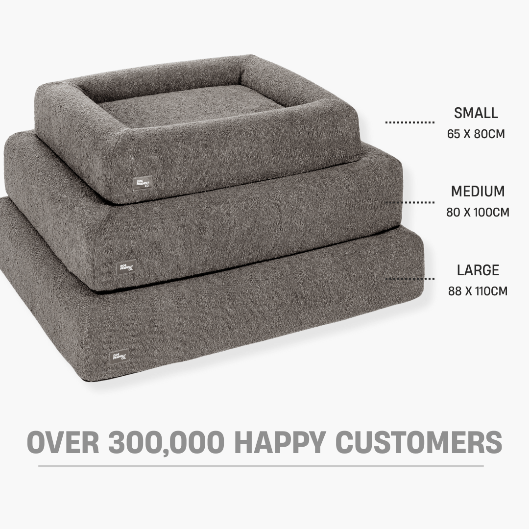 Premium Orthopedic Memory Foam Dog Bed - Brown Bouclé (Small)