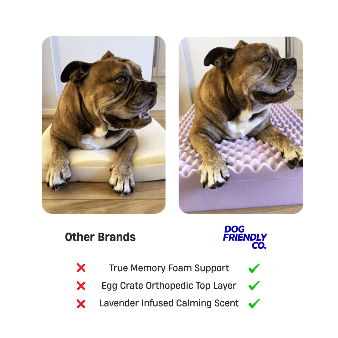 Premium Orthopedic Memory Foam Dog Bed - Beige (Large)