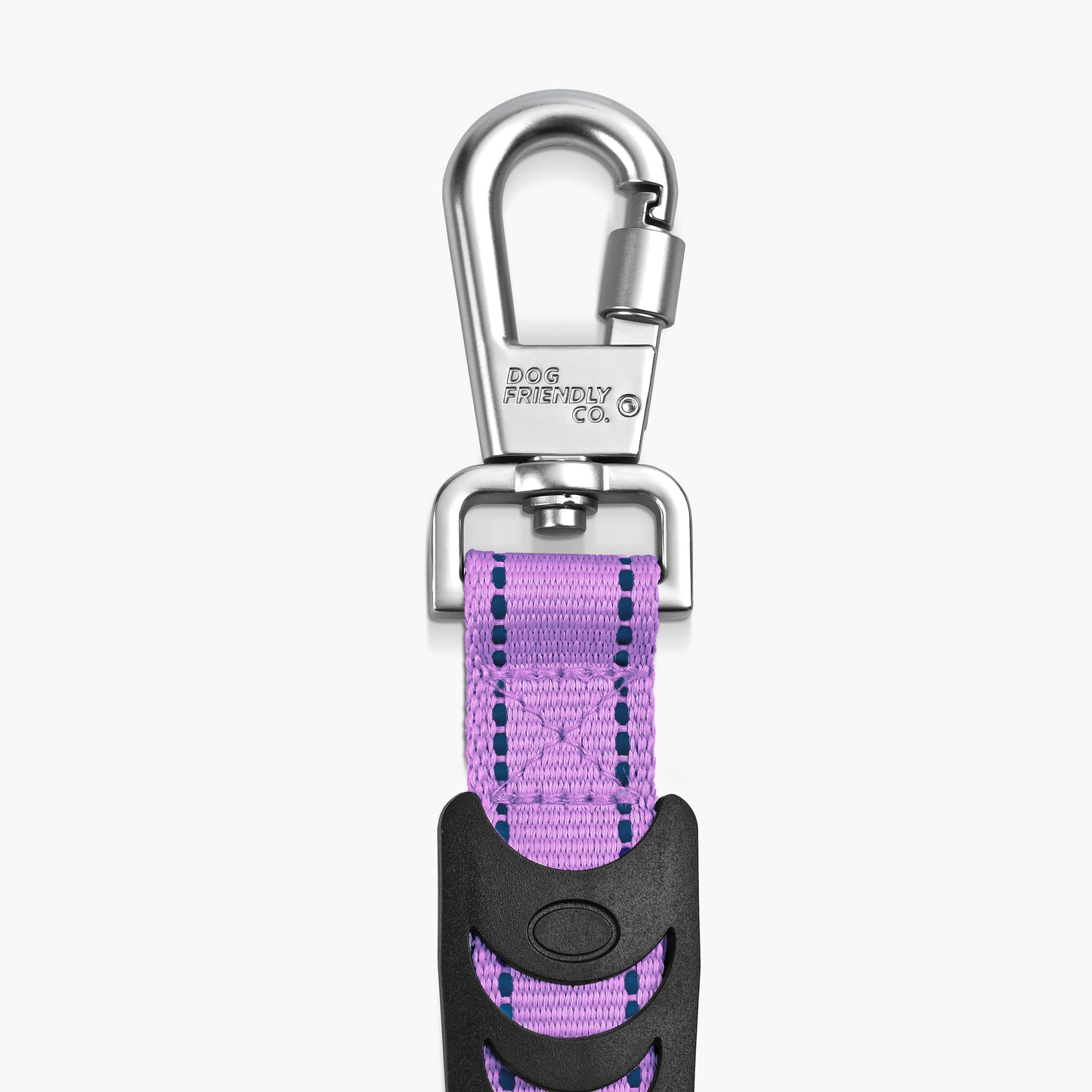 Bungee Dog Leash - Purple