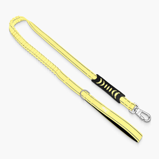 Bungee Dog Leash - Yellow