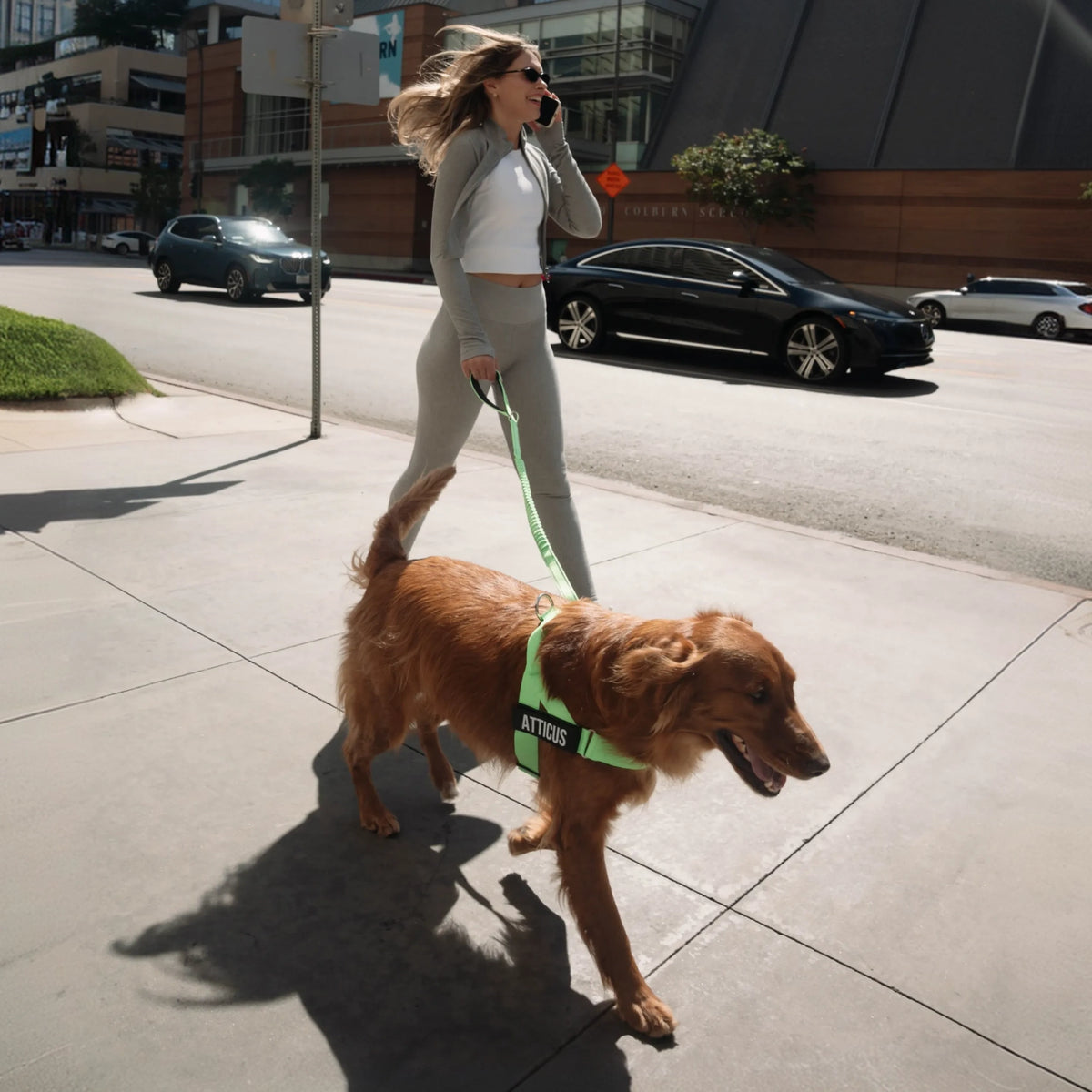Neon green bungee dog leash being used while walking a dog.