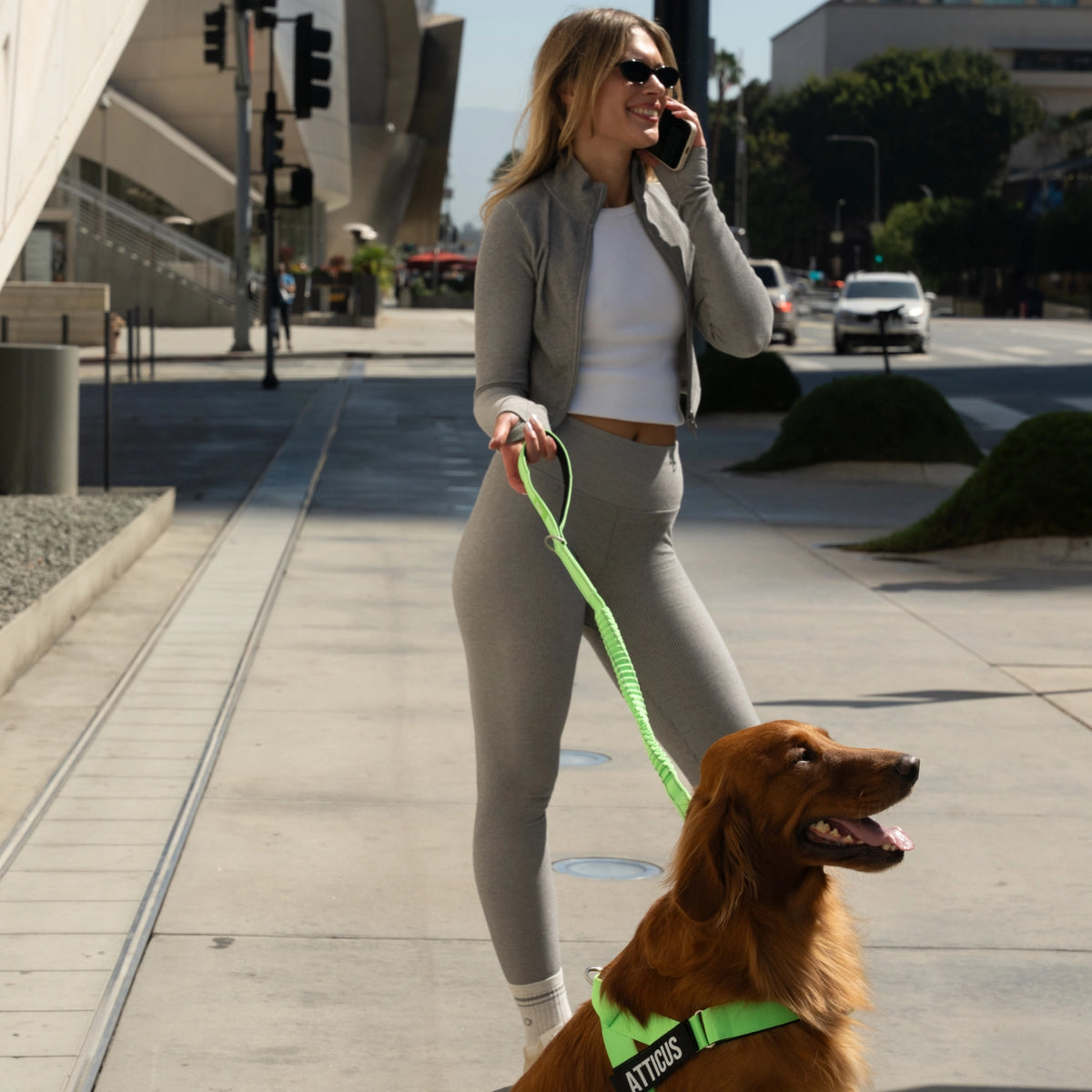 Neon green bungee dog leash being used while walking a dog.