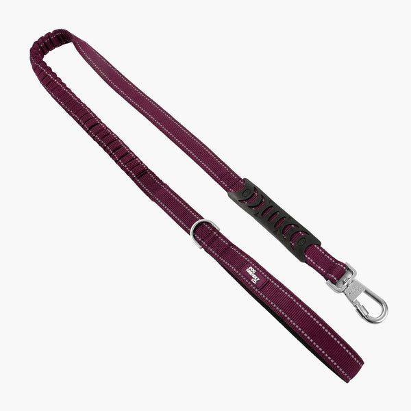 Bungee Dog Leash