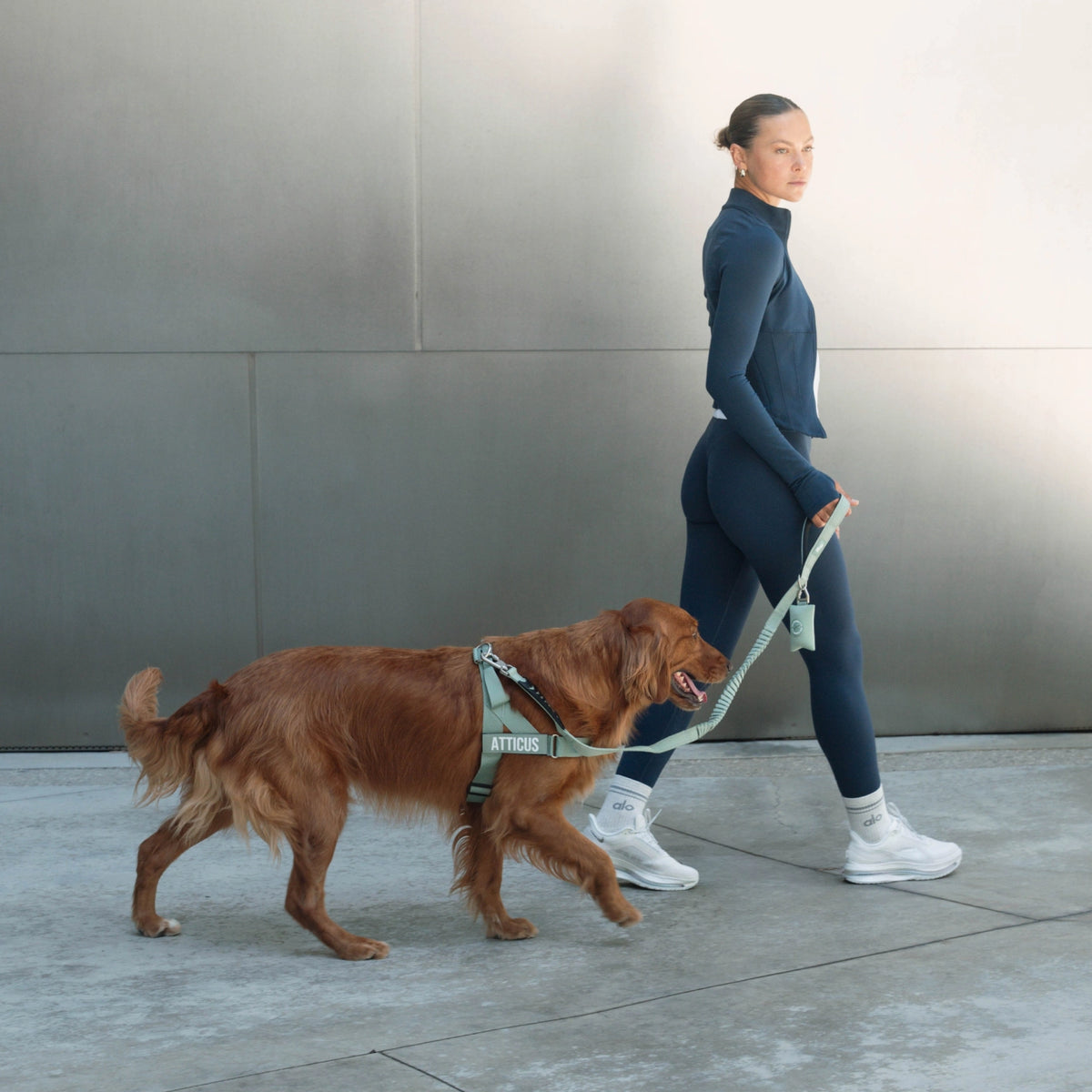Person walking a brown dog using a premium khaki bungee dog leash.