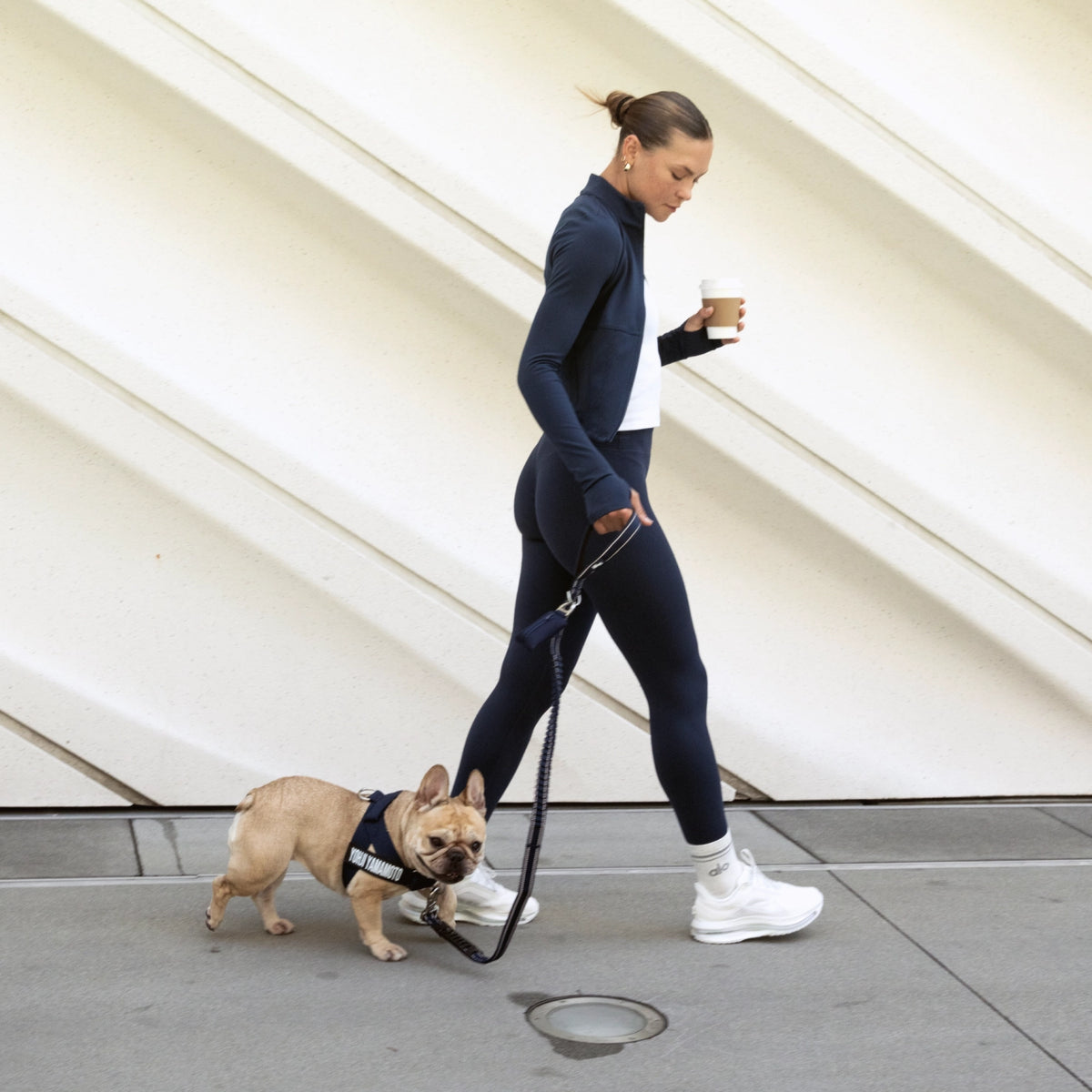 Bungee Dog Leash - Navy Blue