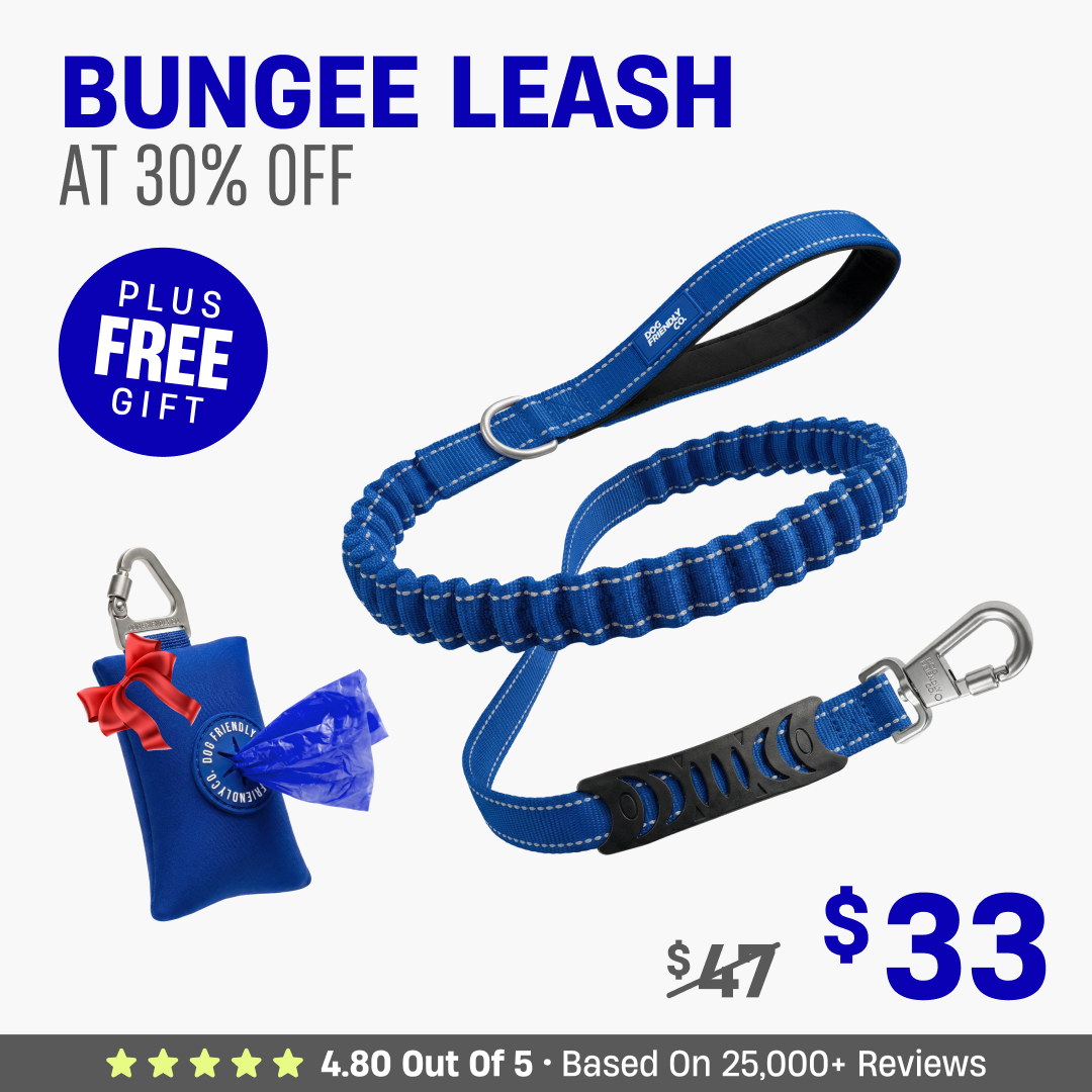 Get Leash at 30% OFF + FREE Poop Bag Holder