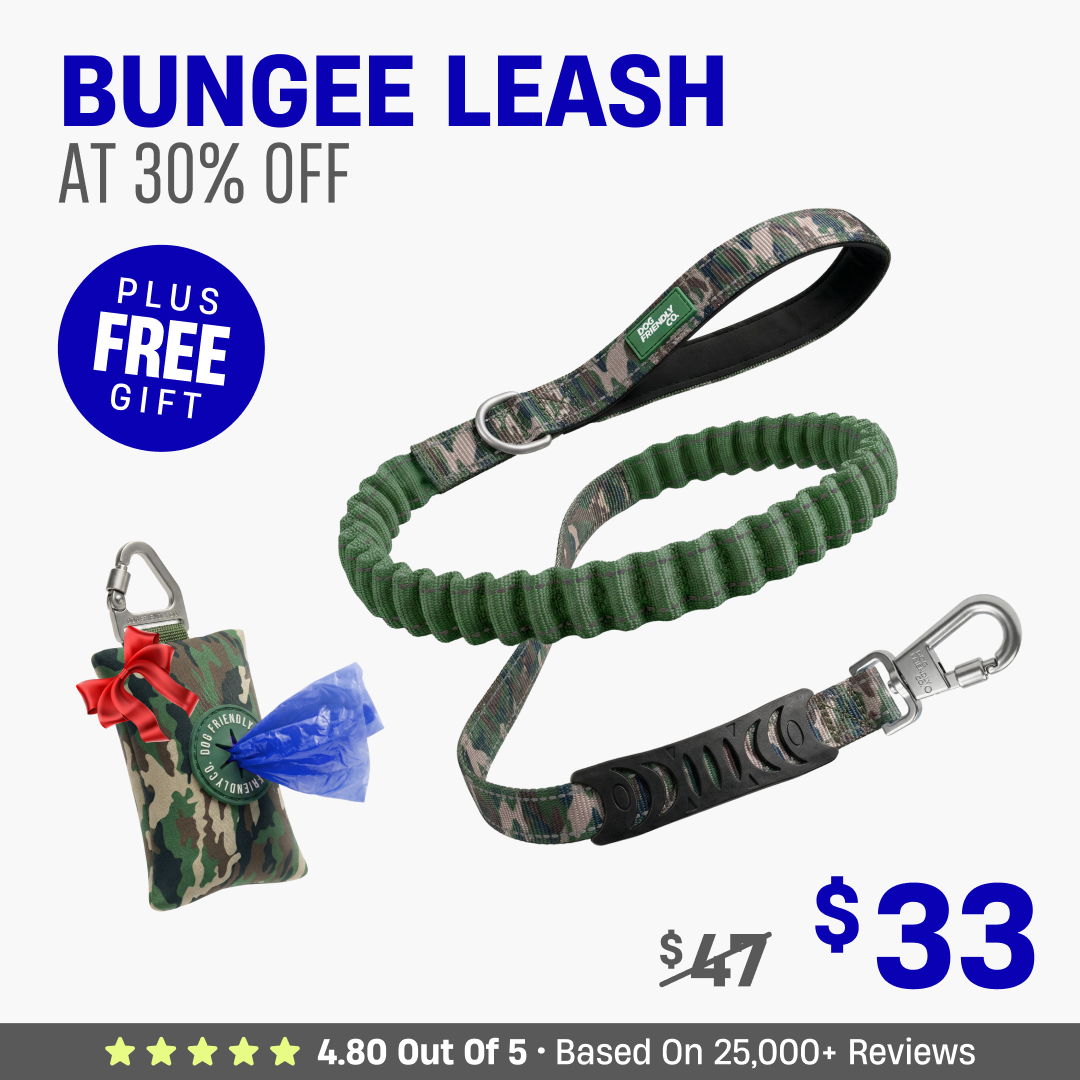 Get Leash at 30% OFF + FREE Poop Bag Holder