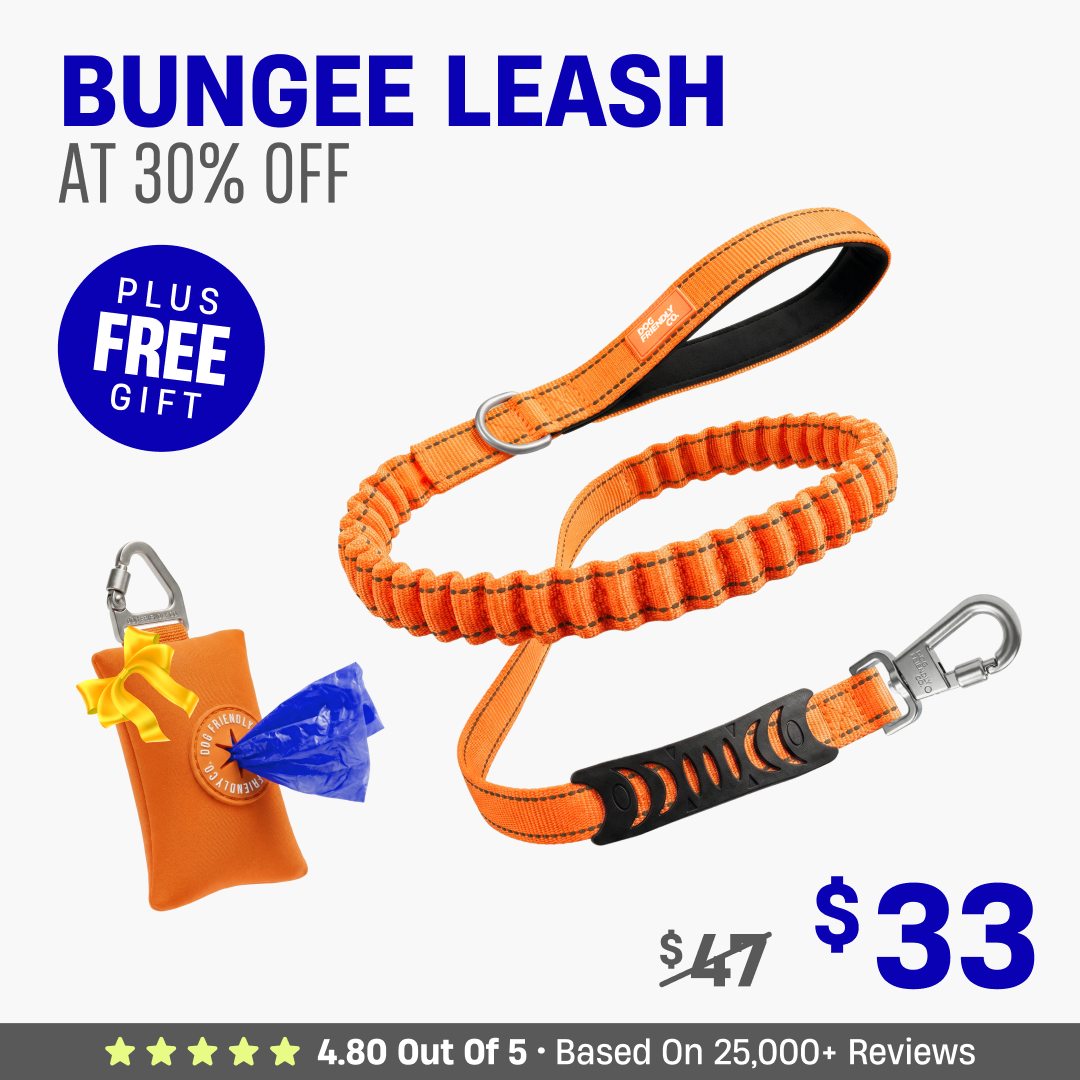 Get Leash at 30% OFF + FREE Poop Bag Holder