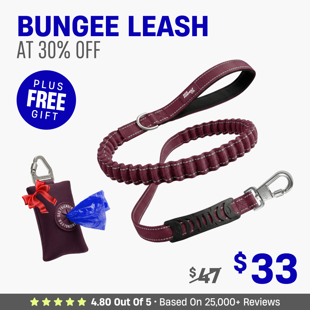 Get Leash at 30% OFF + FREE Poop Bag Holder