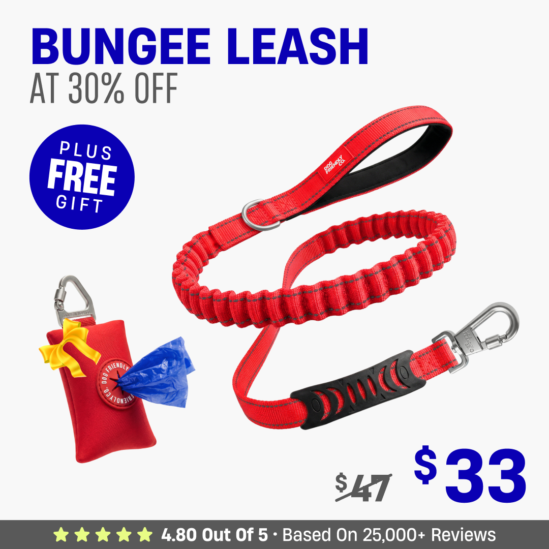 Get Leash at 30% OFF + FREE Poop Bag Holder