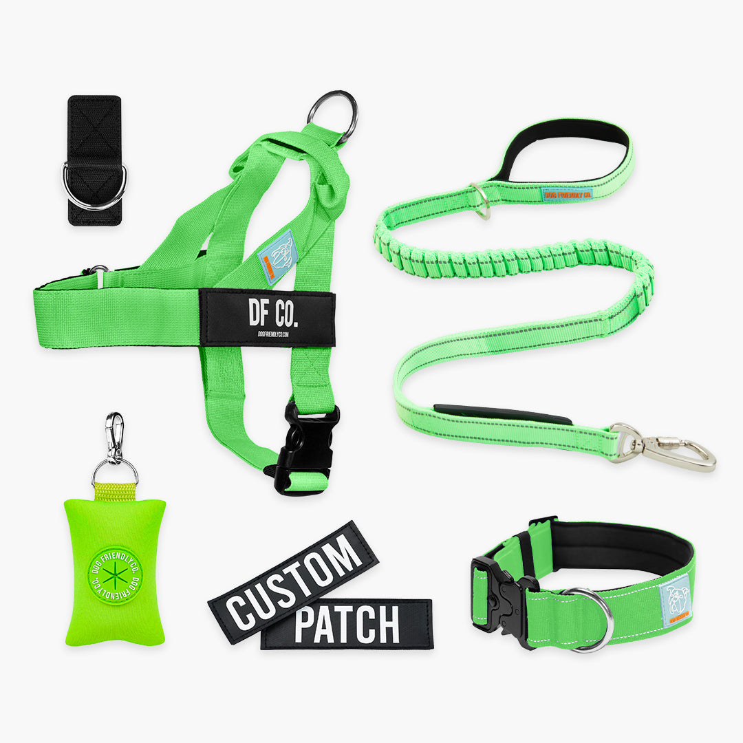 Ultimate No-Pull Bundle – Influencer Exclusive (Black)