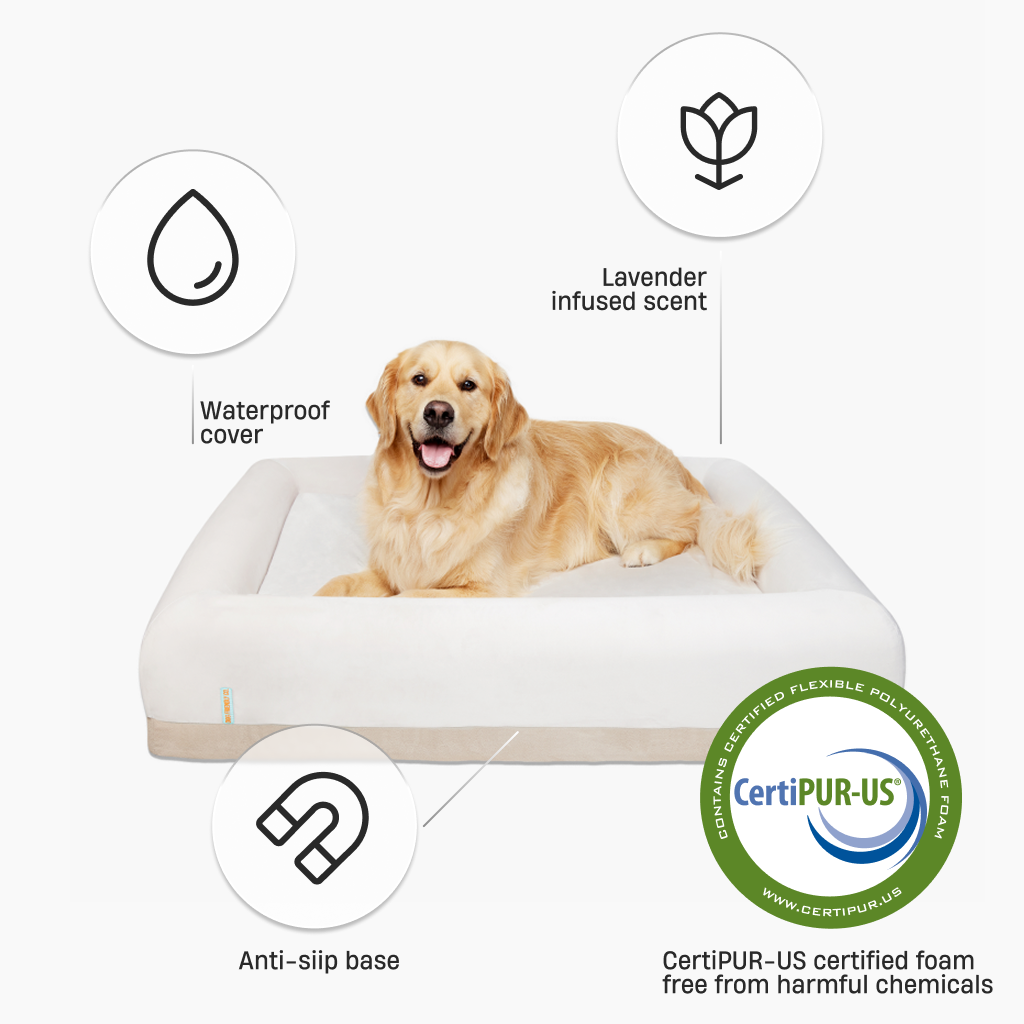 Premium Orthopedic Memory Foam Dog Bed - Champagne (Large)