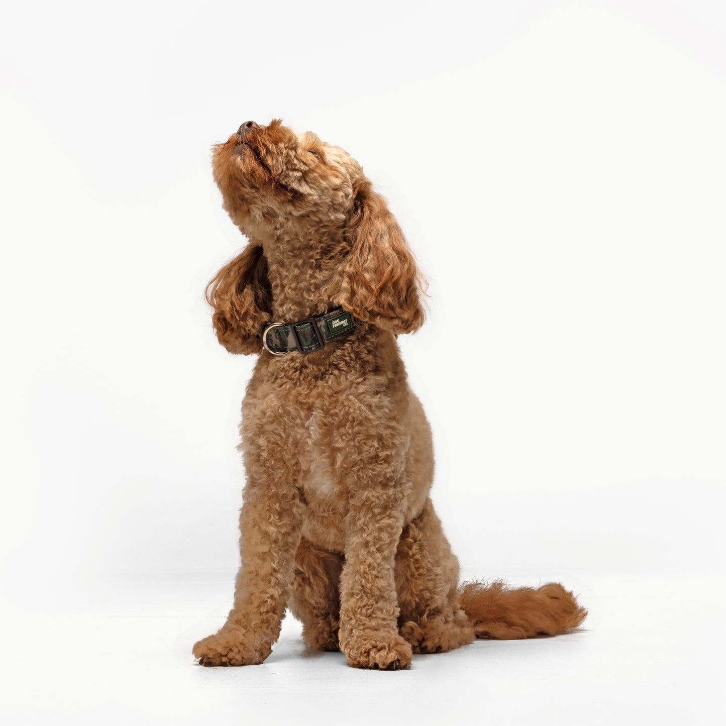 Collar Walk Set - Green Camo