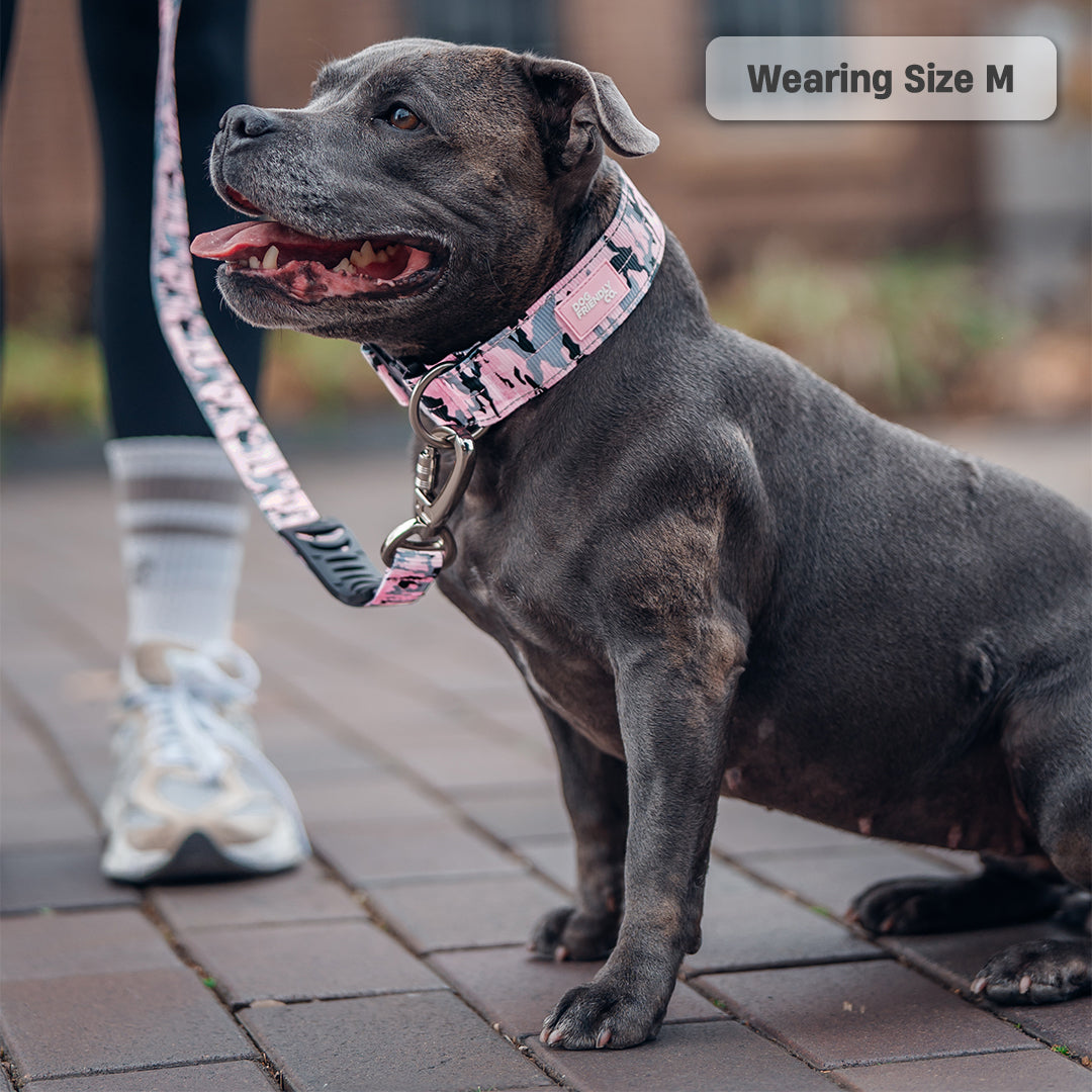 Collar Walk Set - Pink Camo