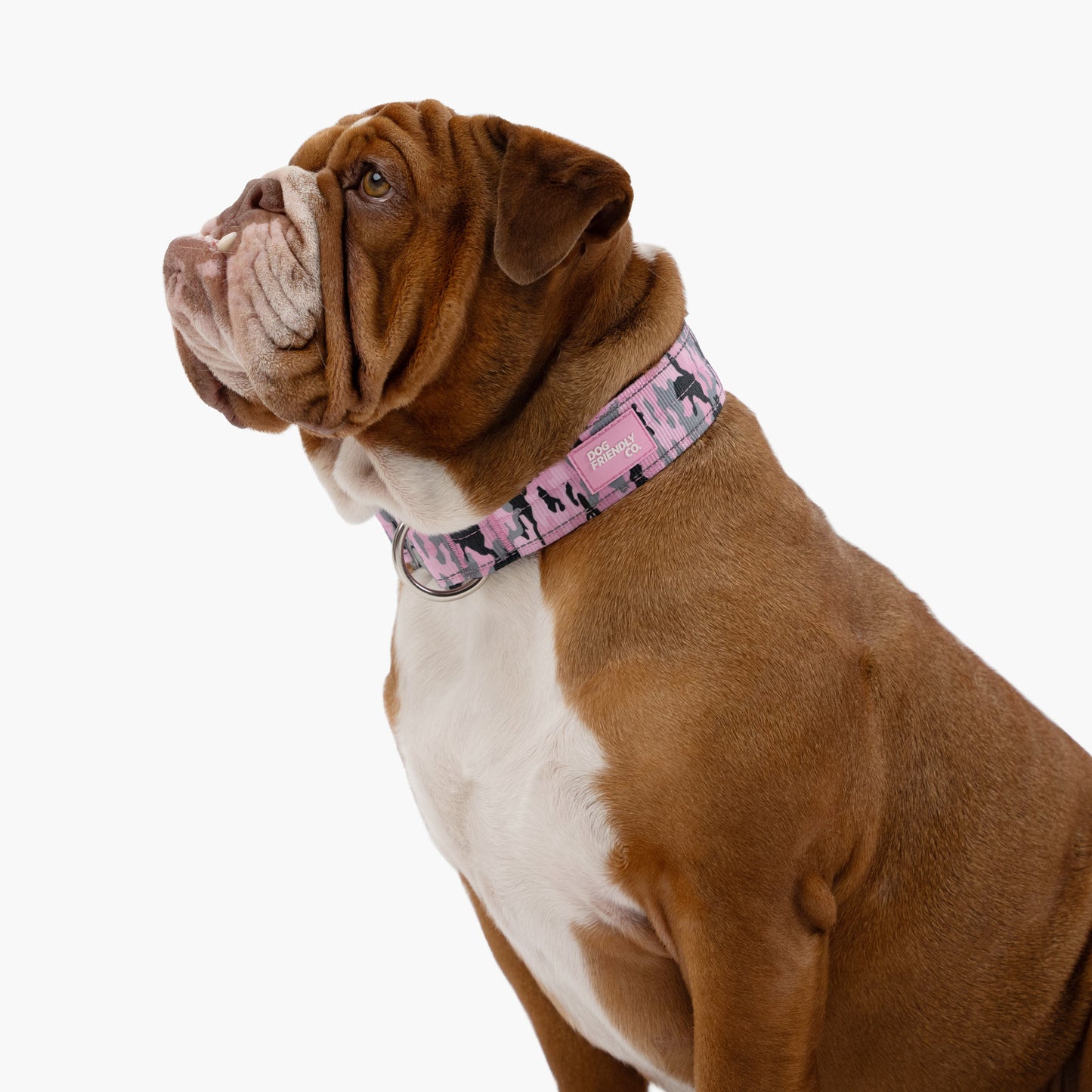 Collar Walk Set - Pink Camo