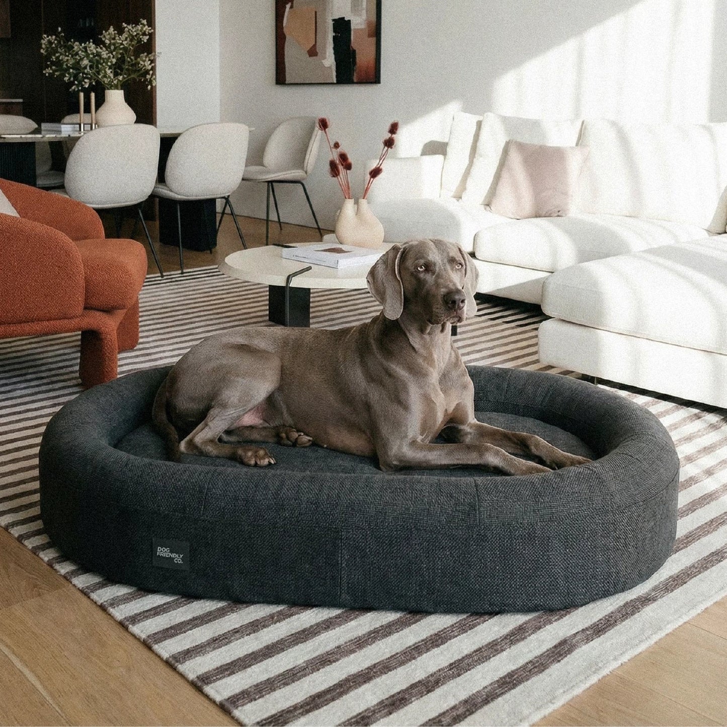 Chill Pill Replacement Cover - Charcoal