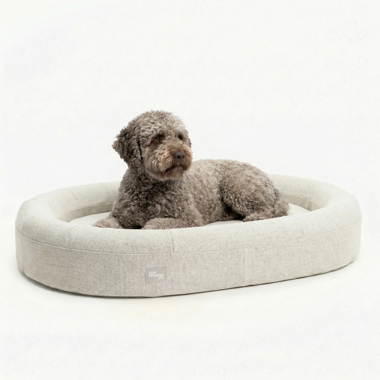 Chill Pill Memory Foam Dog Bed - Beige (Large)