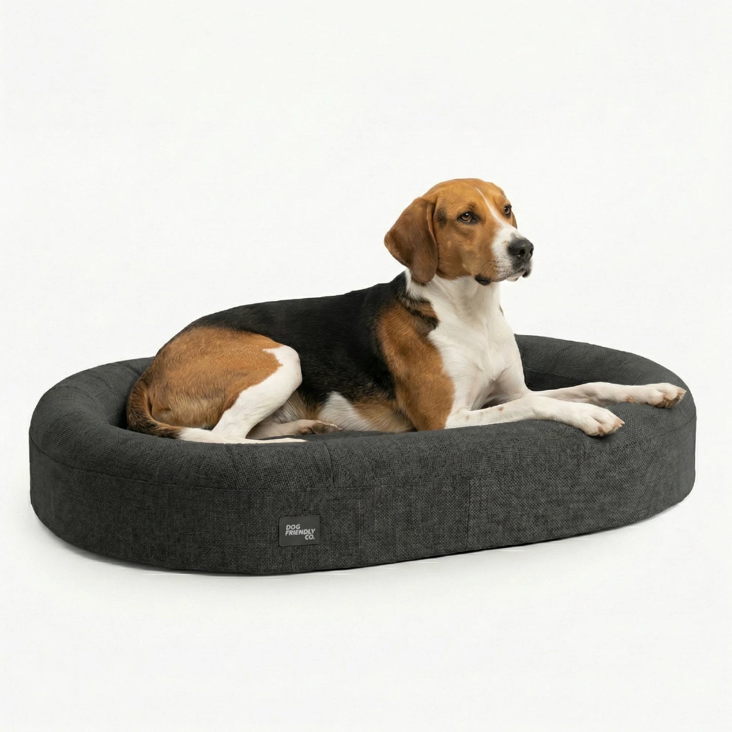 Chill Pill Memory Foam Dog Bed - Charcoal (Small)