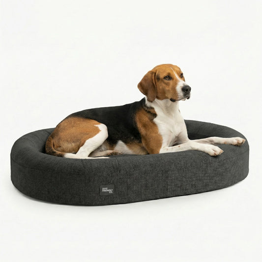 Chill Pill Memory Foam Dog Bed - Charcoal (Large)