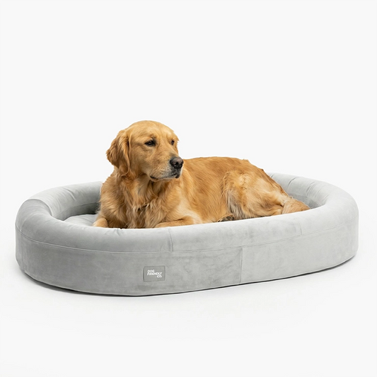 Chill Pill Memory Foam Dog Bed - Grey (Large)